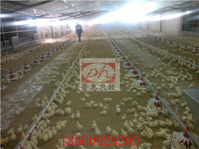 �B(y��ng)���O��-�Ͼ�