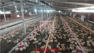 �B(y��ng)���O��-�Ͼ�